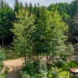 PRAVĚKÁ OSADA KŘIVOKLÍK