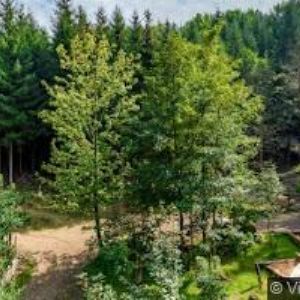 obrazek: avatar PRAVĚKÁ OSADA KŘIVOKLÍK