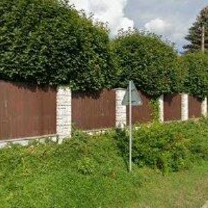 obrazek: avatar PEŠKAR MILAN Ing.-PROJEKTOVÁ A STAVEBNÍ ČINNOST