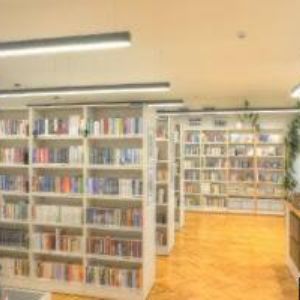 obrazek: avatar MĚSTYS Choltice