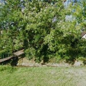 obrazek: avatar MIKYSKA VÁCLAV