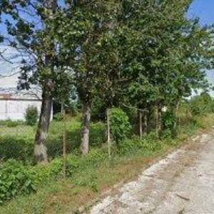 obrazek: avatar EKOPANELY SERVIS s.r.o.