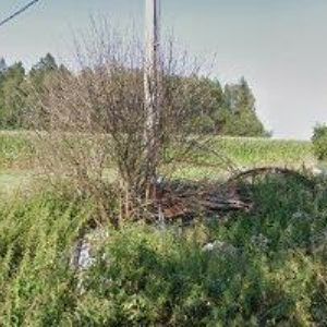 obrazek: avatar SLADKÝ MARTIN