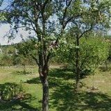 STAVEBNÍ PRÁCE FOJTŮ