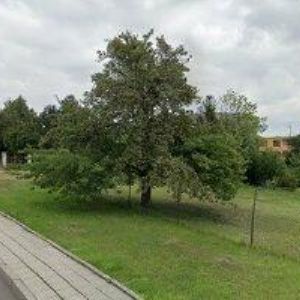 obrazek: avatar TKADLČÍK RADIM