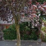 AK-ROPKOVÁ EVA JUDr. LL.M.