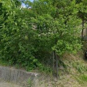 obrazek: avatar WALTER OTTO