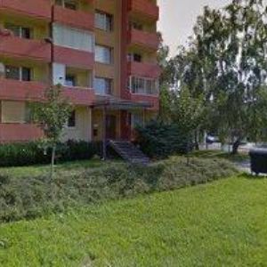 obrazek: avatar MIKEŠ RADOVAN