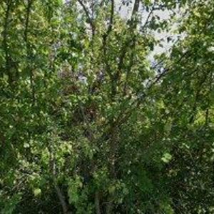 obrazek: avatar PŠ STAV, s.r.o.