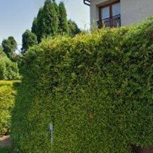 obrazek: avatar ZS STAV