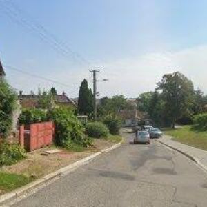 obrazek: avatar ŠEDA PAVEL