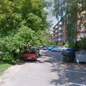 obrazek: avatar MV SPORT