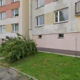 1. PIONÝRSKÁ SKUPINA