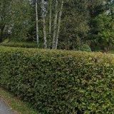 VÝTVARNÉ CENTRUM SNĚŽENKA