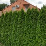 AK-KÖRBEROVÁ HANA Mgr.