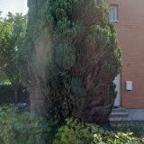 AK-MIKLÍK MIROSLAV Mgr.