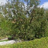 MIKÁDO-STŘEDISKO VOLNÉHO ČASU