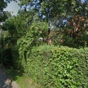 obrazek: avatar AK-PETRÁSEK VÁCLAV Mgr.