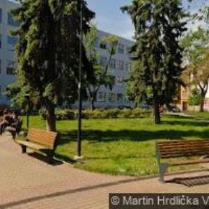 obrazek: avatar VYSOKOŠKOLSKÝ UMĚLECKÝ SOUBOR PARDUBICE