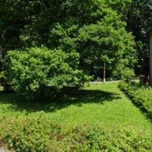 obrazek: avatar STŘEDISKO VOLNÉHO ČASU ANIMO ŽAMBERK