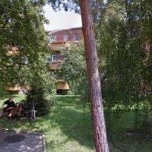 obrazek: avatar SMARAGD z.s.