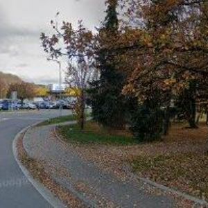 obrazek: avatar DĚTSKÁ DŽUNGLE VSETÍN s.r.o.