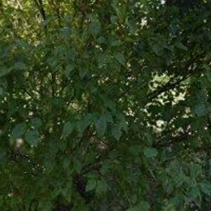 obrazek: avatar AZH CZ s.r.o.