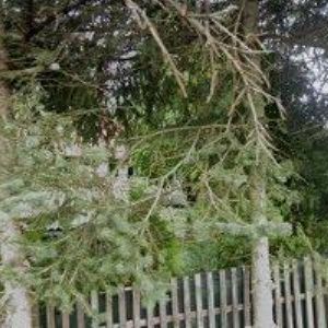 obrazek: avatar GE-TRA s.r.o.