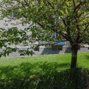 obrazek: avatar NEKVASIL BOHUMIL