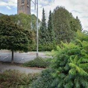 obrazek: avatar T.R.S. KVĚTINY