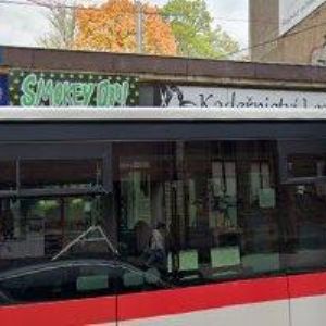 obrazek: avatar CIDRYCH JAN-PORCELÁN SKLO