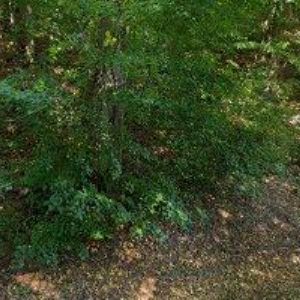 obrazek: avatar BUŠOVÁ JAROSLAVA