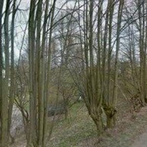 obrazek: avatar FLORIANOVA HUŤ-ČERVENÝ PETR