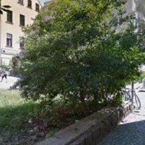 obrazek: avatar SIJEMDETEM.CZ