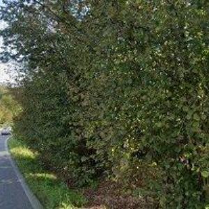 obrazek: avatar SKÁKEJTE CZ s.r.o.