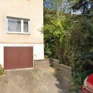 obrazek: avatar NEDĚLA ADOLF