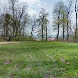 obrazek: avatar NOVÝ ZÁMEK