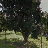 SPOLEK PŘÁTEL HRADU LUKOVA