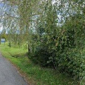 obrazek: avatar MAZAL VLADIMÍR