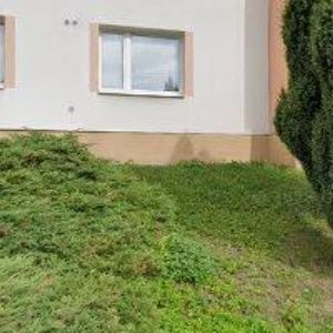 obrazek: avatar RUDA PIVRNEC.CZ