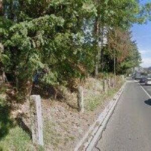 obrazek: avatar SZALAY DAVID