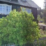 ŠLECHTA LADISLAV-DRÁTENÍK