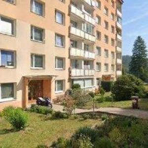 obrazek: avatar TREBAX