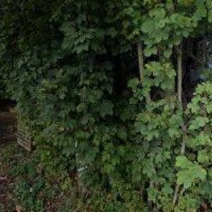 obrazek: avatar KLÁPŠŤOVÁ PAVLA