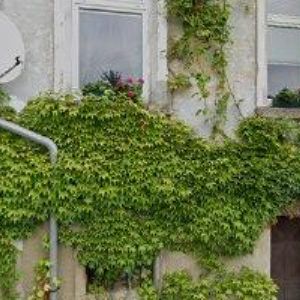 obrazek: avatar KORDOVÁ TAŇA