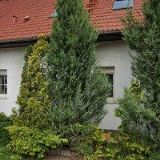 VALENTA VOJTĚCH-V. J. V.