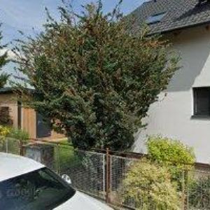 obrazek: avatar FOXART.CZ