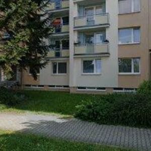 obrazek: avatar INSIGNIA