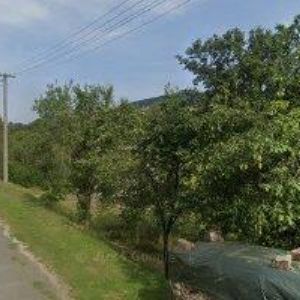 obrazek: avatar KUBIŠ ROBERT