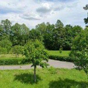 obrazek: avatar HORKÁ MONIKA